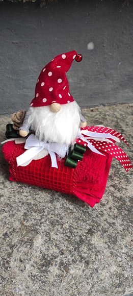 piu_di_un_confetto_biella_decorazioni_natale_2022_014